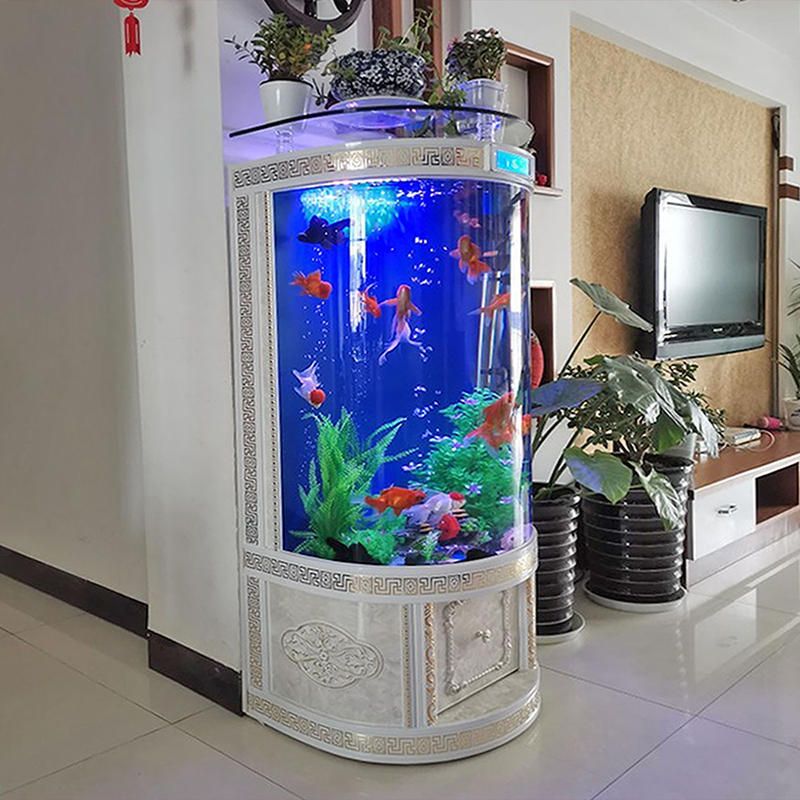 國外魚缸：國外購買魚缸需要注意的事項