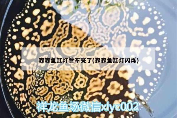 三門峽市湖濱區仟川觀賞魚店