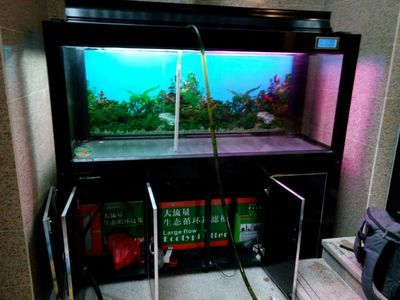 魚缸濾材的選擇和使用魚缸濾材的選擇和使用的詳細介紹：魚缸水質的選擇和使用