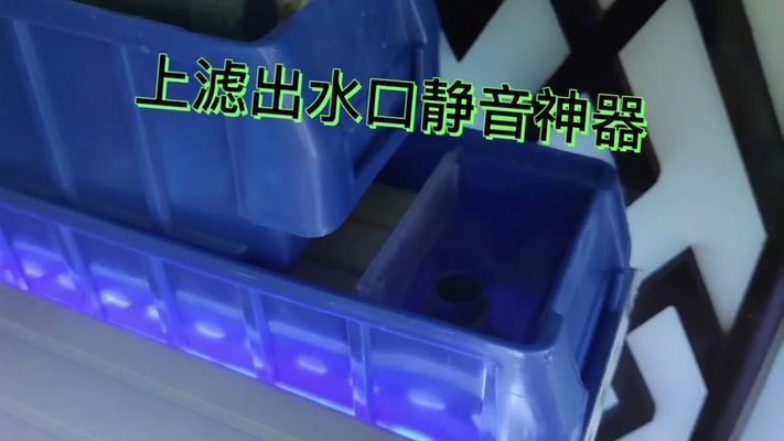 水鴨魚缸聲音大不大