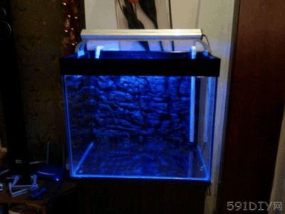 魚缸diy制作教程：如何自己動手制作魚缸