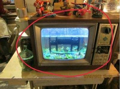 魚缸diy制作教程：如何自己動手制作魚缸