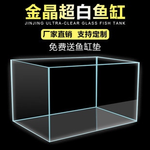 最貴的金龍魚品種排名（目前市場(chǎng)上最貴的金龍魚品種排名）