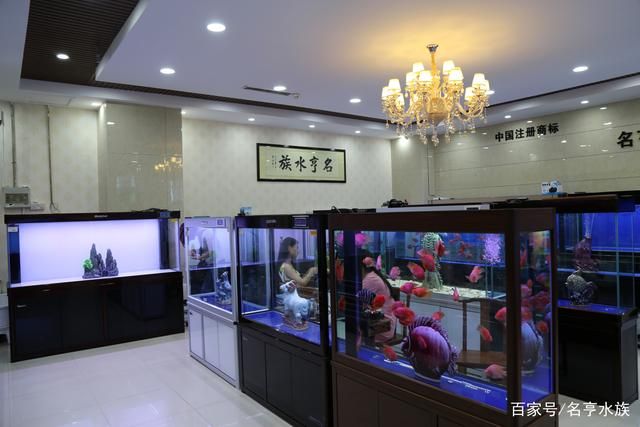 魚缸擺放位置與策略：店鋪魚缸擺放位置與策略 魚缸擺放位置與策略：店鋪魚缸擺放位置與策略 魚缸百科 第3張