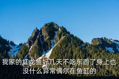 龍魚的水溫一般是在多少度養殖：龍魚養殖龍魚多長時間不吃食會餓死:龍魚的水質養殖