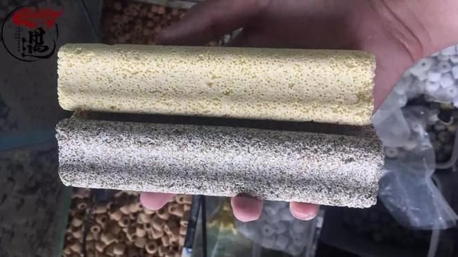 海豚魚缸過濾器怎么清洗：海豚魚缸過濾器清洗方法