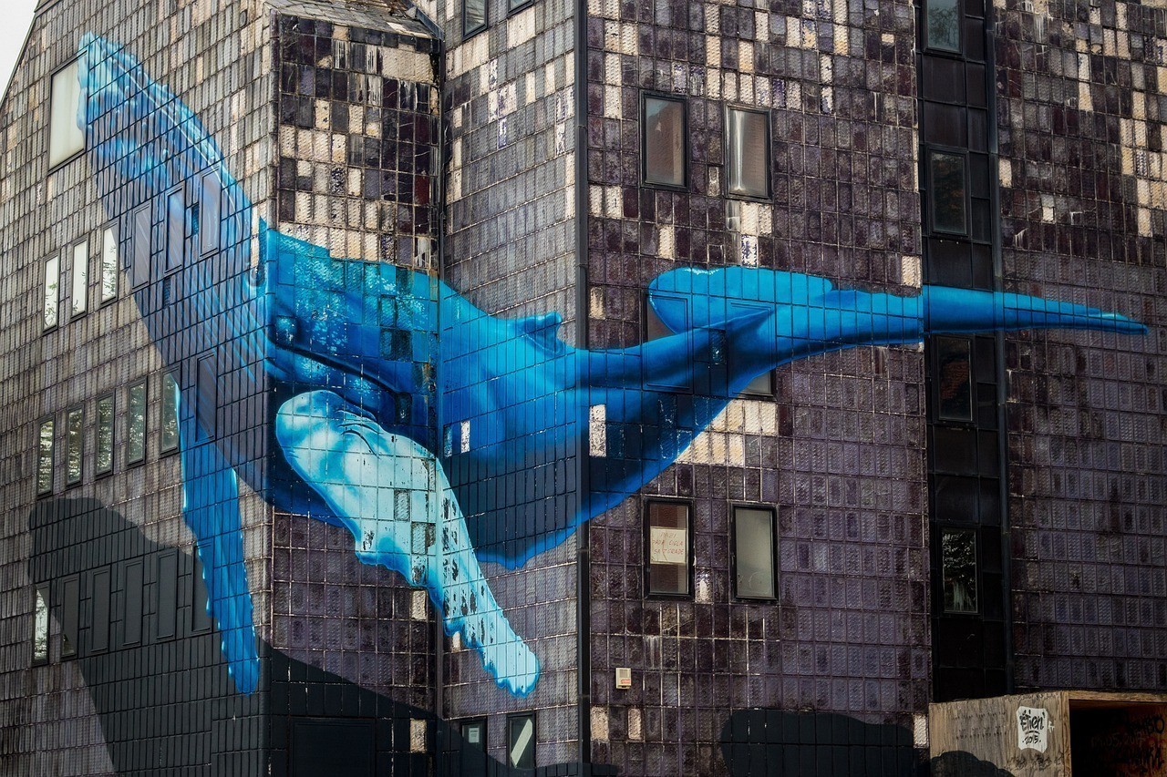 深圳市南山區海雅鯨龍魚缸專柜致禮