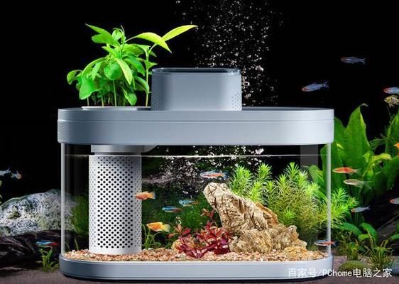 小米畫法幾何魚缸：小米畫法幾何魚缸的設計