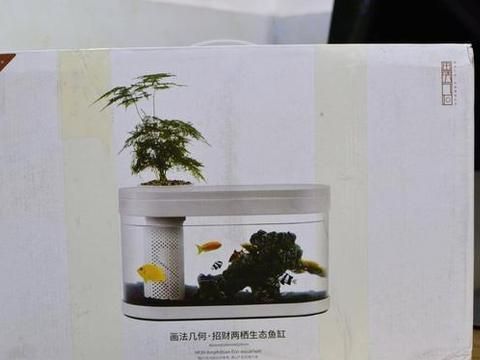 小米畫法幾何魚缸：小米畫法幾何魚缸的設計