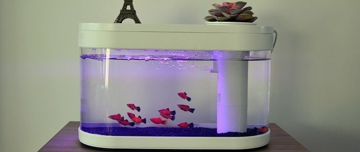 小米畫法幾何魚缸：小米畫法幾何魚缸的設計