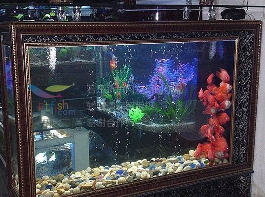 廣興水族魚缸廠（廣興水族魚缸廠30篇智腦大模型提煉5個關鍵詞）