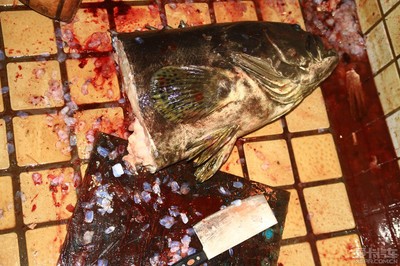 龍躉魚(yú)大概賣多少一斤