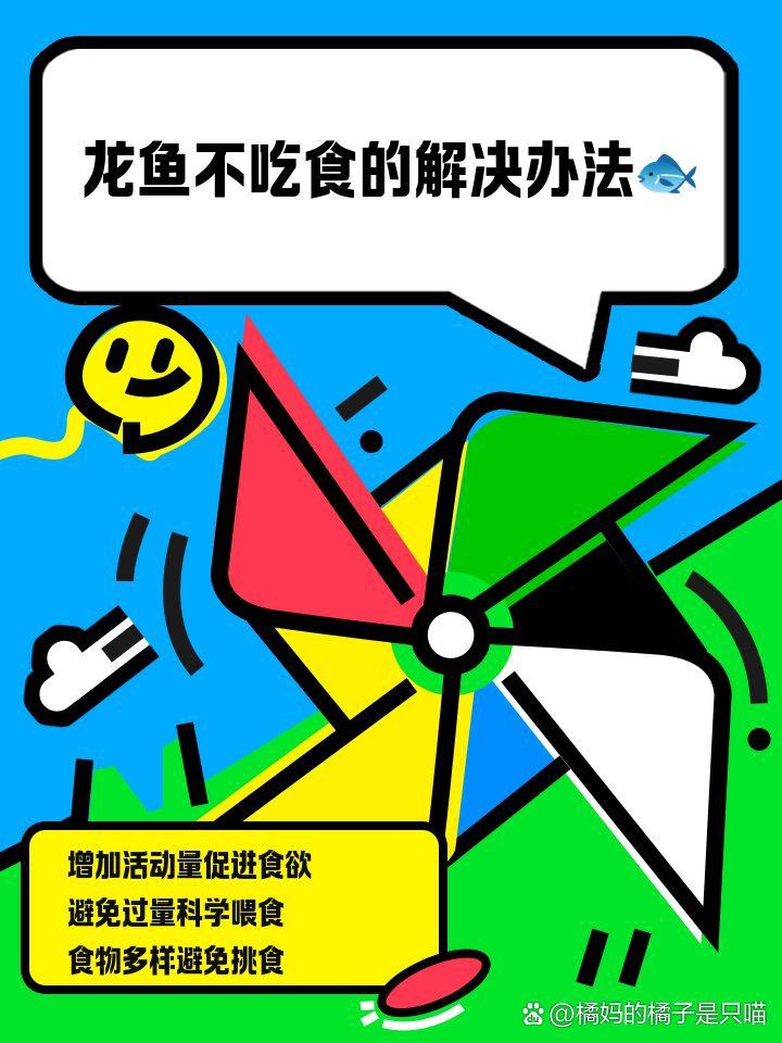 龍魚十多天不吃東西怎么辦