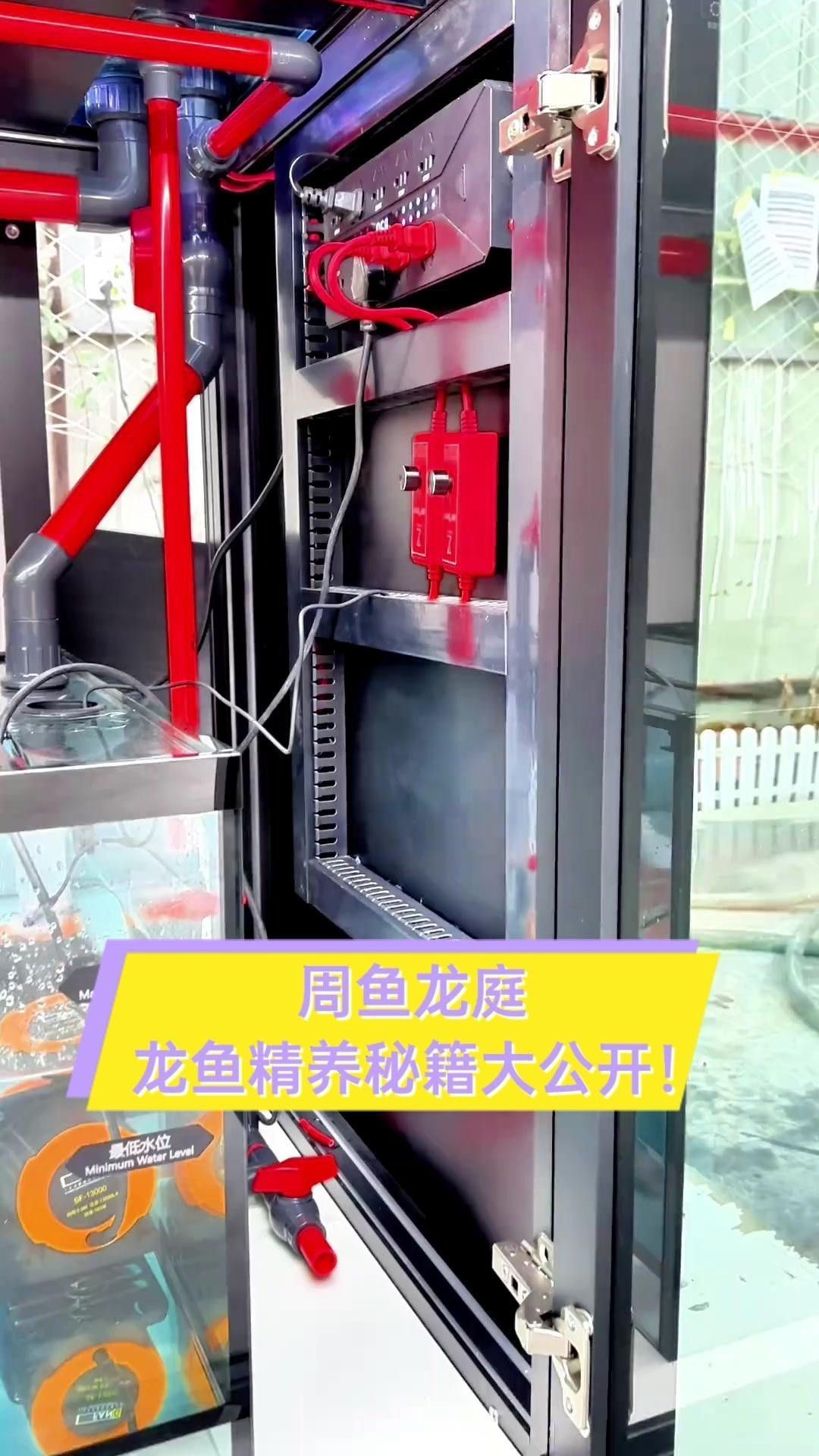 混養(yǎng)龍魚需要哪些設(shè)備