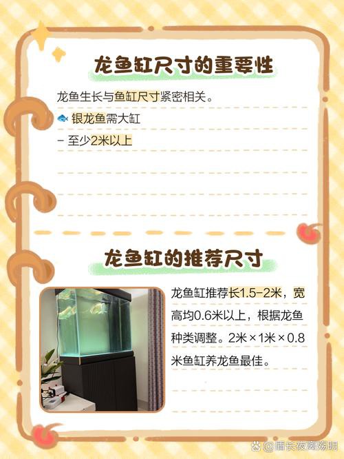 混養(yǎng)龍魚需要哪些設(shè)備