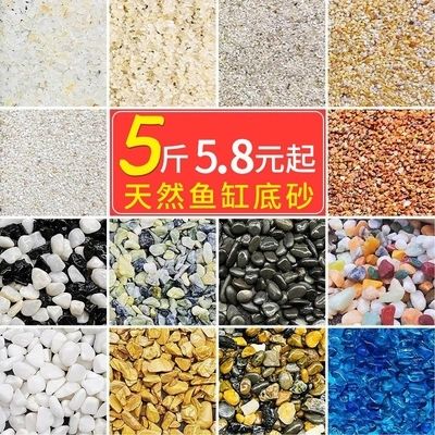 魚(yú)缸彩石造景圖片大全：魚(yú)缸彩石造景圖片大全詳情