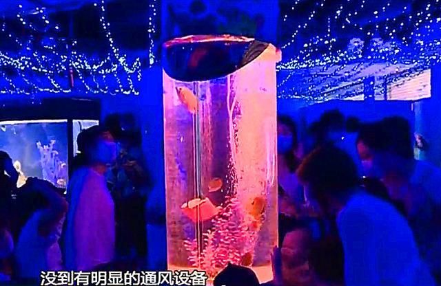 廣州小魚魚缸廠家直銷（小魚缸生產與銷售的廠家提供了各種型號和樣式的魚缸）