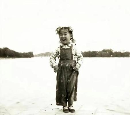 魚缸和金魚勵志故事：《金魚在魚缸里的堅持篇》如何培養孩子的堅持品質