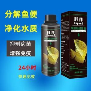 金龍魚鱗外翻是什么原因造成的【金龍魚鱗外翻是什么原因造成的金龍魚鱗外翻是什么原因造成的】