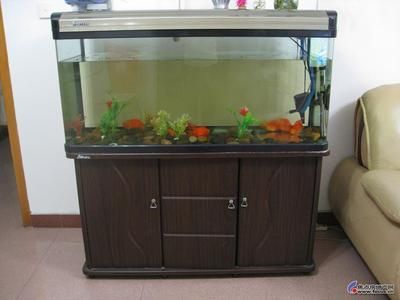 廣州水族市場探秘廣州水族市場探秘二手魚缸鑒別技巧：廣州二手魚缸市場如何挑選