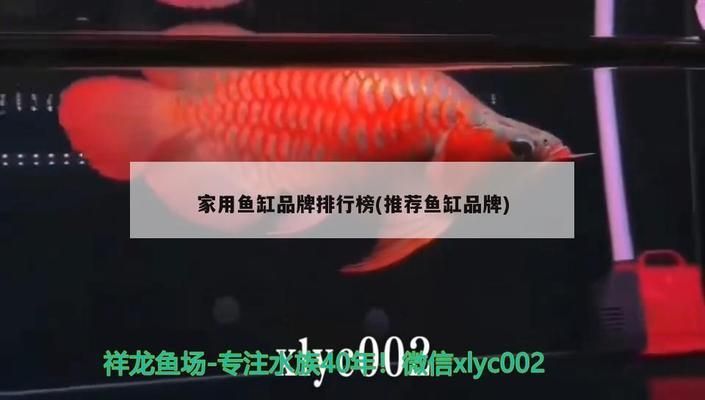 家用魚缸品牌十大排名：2024年家用魚缸品牌十大排名