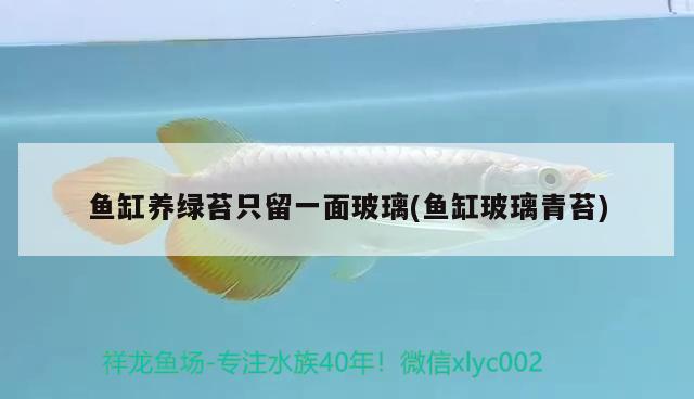 淶水天夏傲馬商貿有限公司