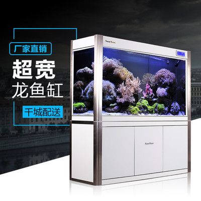 龍魚缸什么牌子好：龍魚缸品牌性價比排行