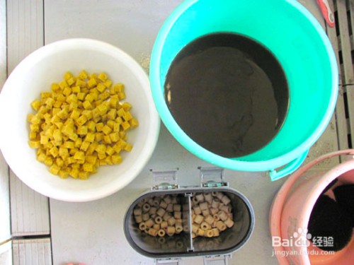 平樂(lè)縣水立坊觀賞魚(yú)店（樂(lè)平水族館）