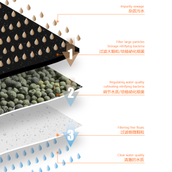 漳州市薌城阿偉水族店（漳州市薌城阿偉水族店地址）