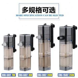 怎么治療龍魚掉眼睛的病：龍魚掉眼之殤與救贖，探尋有效治療之道