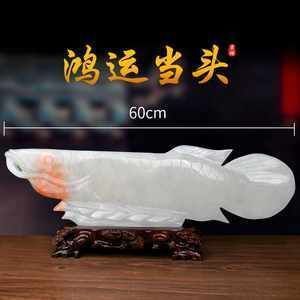 新城區孟氏水族店（新城區孟氏水族店地址）