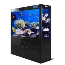 森森哪一款龍魚缸性價比高（性價比較高的森森龍魚缸：森森超白玻璃魚缸、森森超白玻璃魚缸）