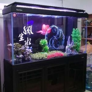 森森哪一款龍魚缸性價比高（性價比較高的森森龍魚缸：森森超白玻璃魚缸、森森超白玻璃魚缸）
