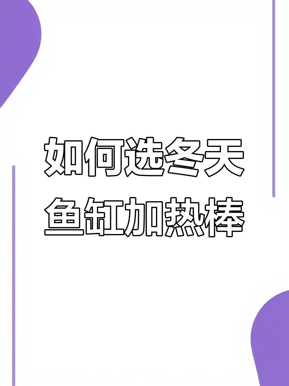 如何維持紅龍魚缸的穩(wěn)定溫度？