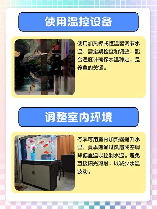 如何維持紅龍魚缸的穩(wěn)定溫度？