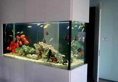 德國魚缸品牌的魚缸品牌對比德國魚缸品牌的選擇分析：德國魚缸與亞洲品牌對比