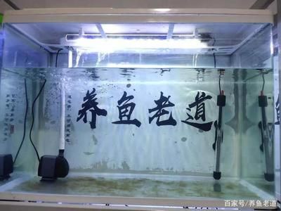 魚缸的水渾濁是水泵的問題嗎