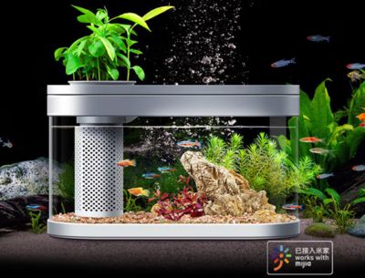 小米魚缸換水的正確方法：小米魚缸換水的正確方法小米魚缸換水的正確方法