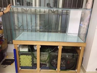 魚(yú)缸底濾魚(yú)缸底濾的設(shè)計(jì)原理是什么：如何選擇合適的底濾板