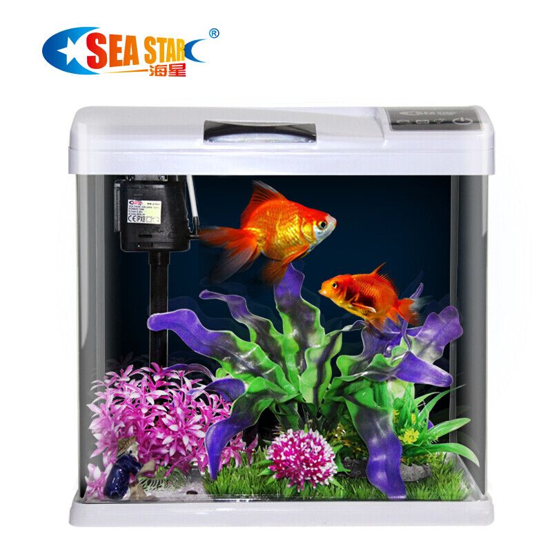 海洋生物養(yǎng)護(hù)指南養(yǎng)海星需要一定的專業(yè)知識(shí)和技巧：海星魚缸廠家信息