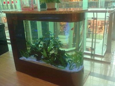 魚缸形狀對風水影響解析：魚缸形狀對家居風水影響