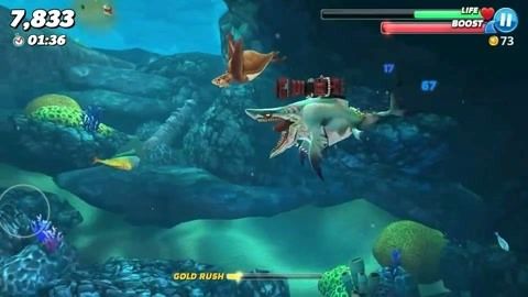 龍魚一周不吃東西能活多久？：龍魚一周不吃東西的存活時間取決于多種因素