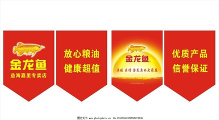 環翠區翌寧水族店