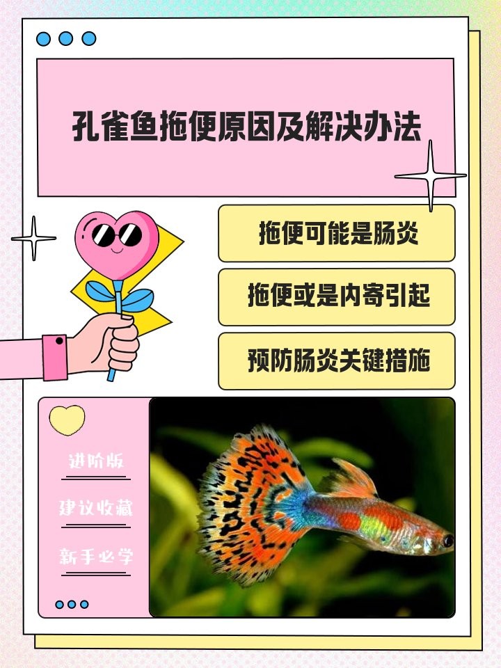 龍魚病理性拖便會自愈嗎？