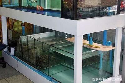 魚缸過濾棉更換步驟：如何判斷過濾棉是否需要更換，魚缸水質檢測方法介紹