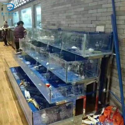 魚缸過濾棉更換步驟：如何判斷過濾棉是否需要更換，魚缸水質檢測方法介紹