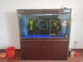 選擇廣州二手魚缸交易平臺時有幾個因素需要考慮：如何選擇廣州二手魚缸交易平臺