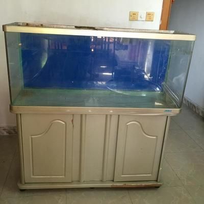 選擇廣州二手魚缸交易平臺時有幾個因素需要考慮：如何選擇廣州二手魚缸交易平臺