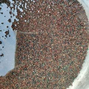 養龍魚可以鋪底砂嗎為什么：養龍魚可以鋪底砂嗎