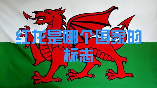 還有哪些國家或地區使用紅龍旗？